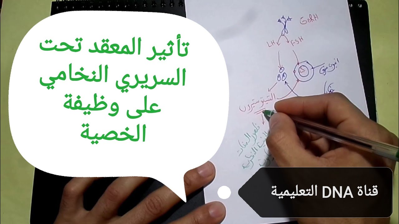 تأثير المعقد تحت السريري النخامي على وظيفة الخصية