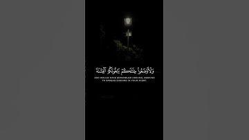 سورة التوبة - الشيخ سديس #quran #سورة_التوبة #عبدالرحمن_السديس #fyp #تلاوة_خاشعة