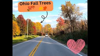 Cruising in Ohio's Fall Roads w/leaves changing color by RQs Garage 57 views 1 year ago 3 minutes, 17 seconds