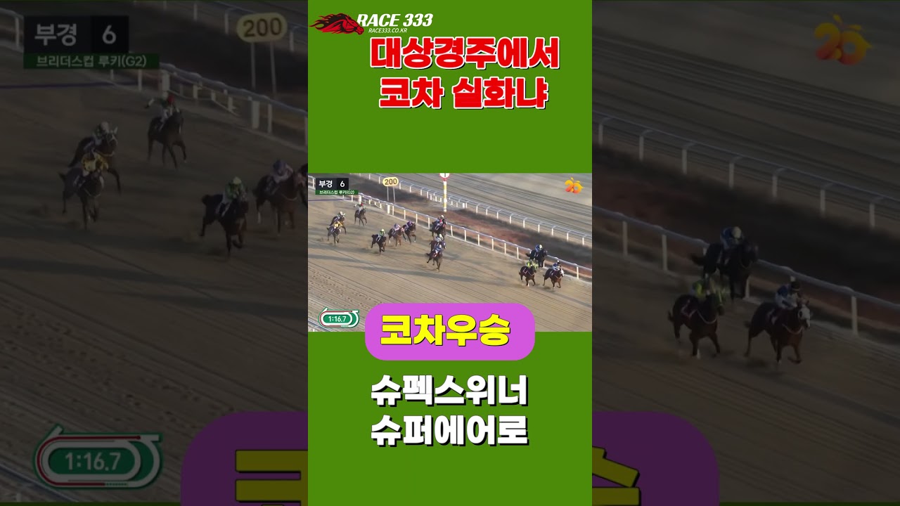 #코차실화냐#슈펙스위너 #경마예상 #horse #automobile #경마예상가 #추천경마 #이슈