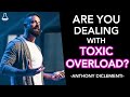 The detox code anthony diclementi