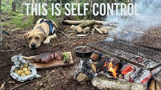 Solo overnight woodland camp with my dog - Bushcraft, steak and British MRE