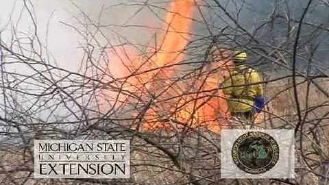 Firewise: Create Defensible Space (Part 2)