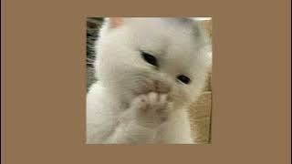 Jazz - Teman Bahagia [ sped up ]