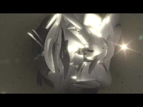 trapcode 作例