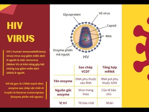 Video: Chức năng của men sao chép ngược HIV 1 là gì?