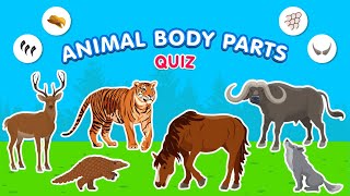 Animal Body Parts Quiz | Vocabulary for Kids | Animal vocabulary