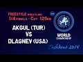 Quarterfinal - Freestyle Wrestling 125 kg - T. AKGUL (TUR) vs T. DLAGNEV (USA) - Tashkent 2014