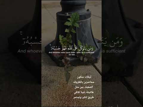 أوقات منكون محاصرين بالظروف الصعبة بس متل هالنبتة فينا تلاقي طريق لنكبر ونستمر
