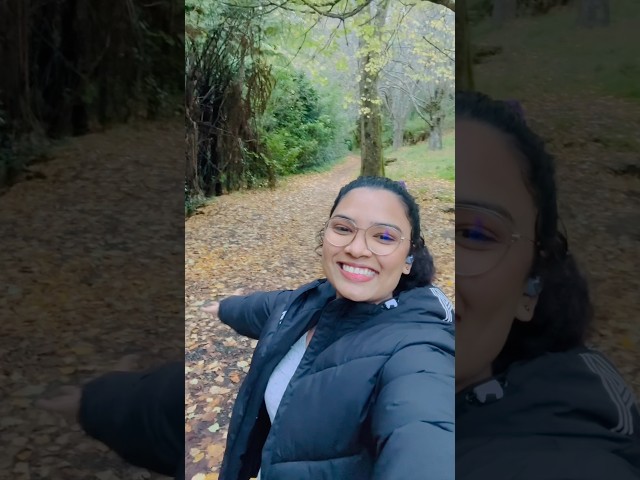 My first solo vlog | Unseen beauty of New Zealand  #newzealnd #travel #vlog #thiandd #life #alone class=