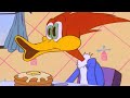 Woody&#39;s Roommate | Woody Woodpecker