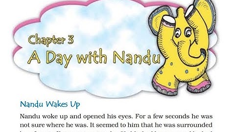 CLASS 4 | EVS | CHAPTER 3 |  A DAY WITH NANDU | NCERT | CBSE | EXPLANATION IN HINDI | SOLUTION | KV