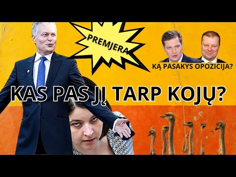 Video: Kodėl procedūros turi politiką?