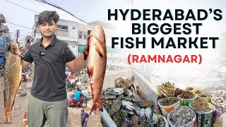 Ramnagar largest fish market  in Telangana (exploringbiggest fish market in Hyderabad)