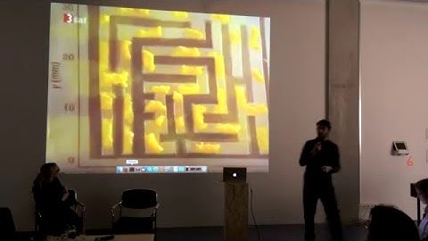 Computing inspired by Physarum polycephalum @ Inoculum, CLB Berlin, 2016