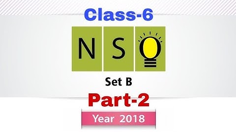 NSO Class-6 2018 question paper with solutions | National Science Olympiad.