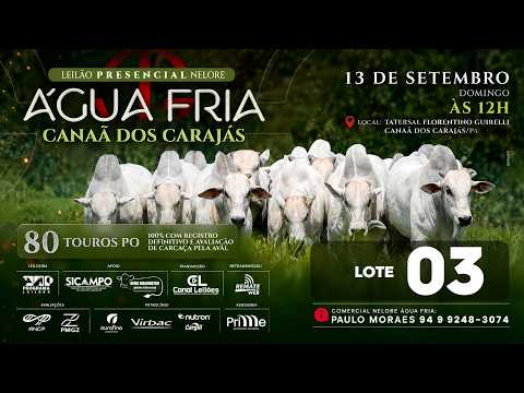 LOTE 03