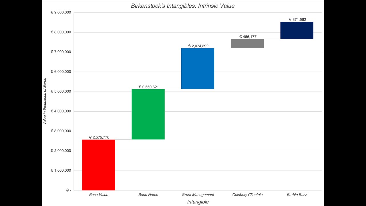 Invisible, but Invaluable Valuing Intangibles - The Birkenstock IPO