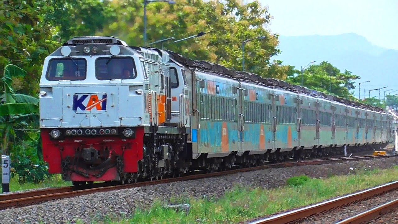 MOMEN KUMPULAN KERETA API SIANG SORE NGEBUT DI SPOT SEKITAR STASIUN SRUWENG KEBUMEN‼️