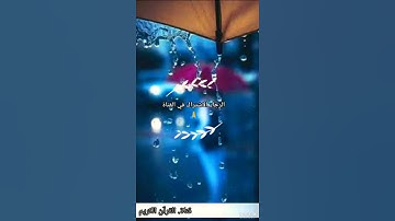 القرآن الكريم بصوت هزاع البلوشي حالات واتس اب