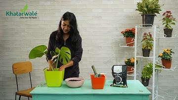 How To Use Potting + Mix ? | Plants Care | Khatarwale #compose