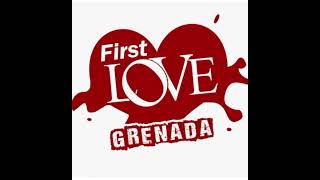 Gigi d'agostino first love grenada radio edit.