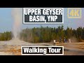 4K Yellowstone  Walks  - Walking Around Old Faithful Geyser Basin - Virtual Travel Walking Treadmill