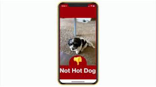 "Hot Dog / Not Hot Dog" Demo on #Claris #FileMaker Go using a #CoreML Vision Model screenshot 3