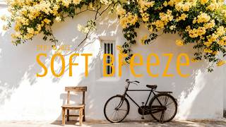 Sunny Afternoon Jazz ☀️ Soft Female Café Music for Relax &amp; Work (60 min) | DandelionDrift 溫暖午後