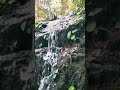 Bhamragaddobursmall waterfall