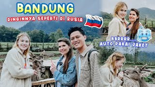 RUSSIAN IN-LAWS ARE SO HAPPY TO BE ABLE TO FEED THE DEER DIRECTLY / ESPECIALLY THE WEATHER, ARE S...