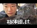 保護した猫ちゃんについて、本当の事を話します。。。