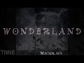 Capture de la vidéo Tnne - Wonderland - New Album Teaser 2017