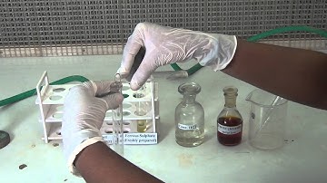 Detection of Nitrogen in an Organic Compound - MeitY OLabs