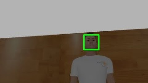 Face detection and save in ROS gazebo simulation