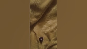 A D8 (A 8 Sided Dice)