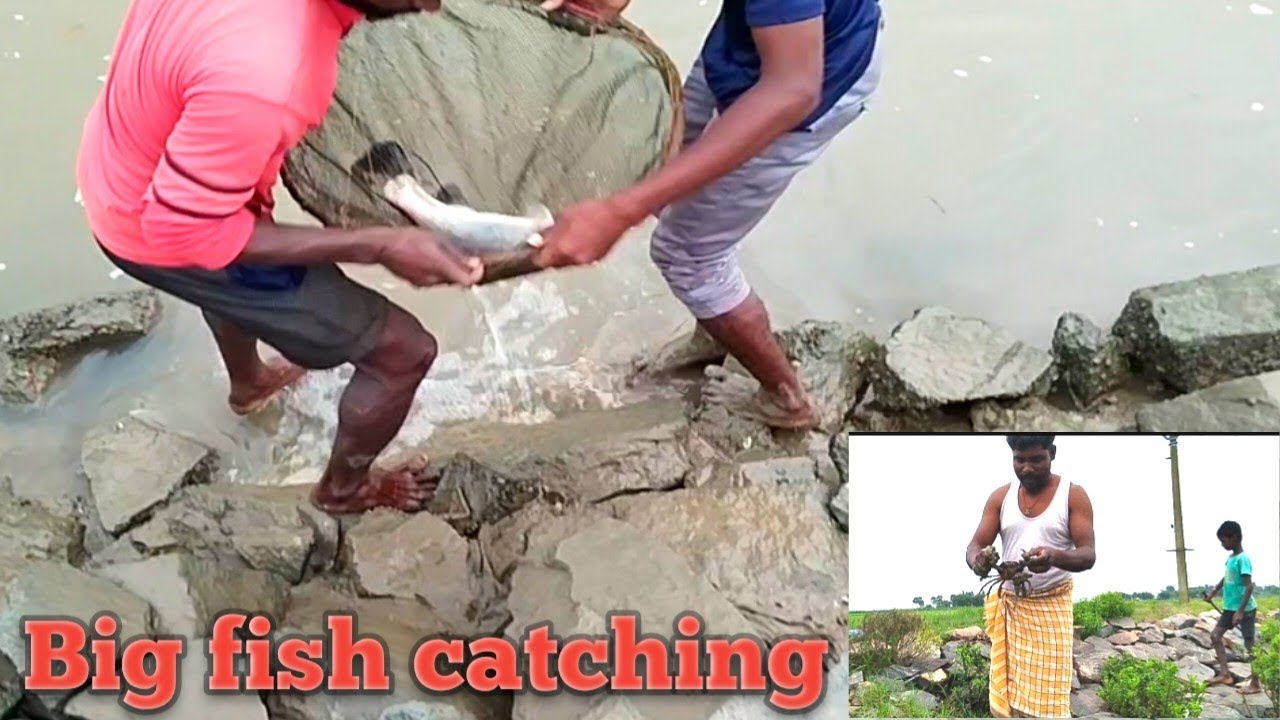 Best To Gents Big Fish Caching || Machli Pakad Neka Sehi Tarika 🐠