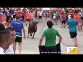 RESUMEN 2019  5ª PARTE  VACAS Y TOROS EN LOS PUEBLOS ( CADREITA-NAVARRA )