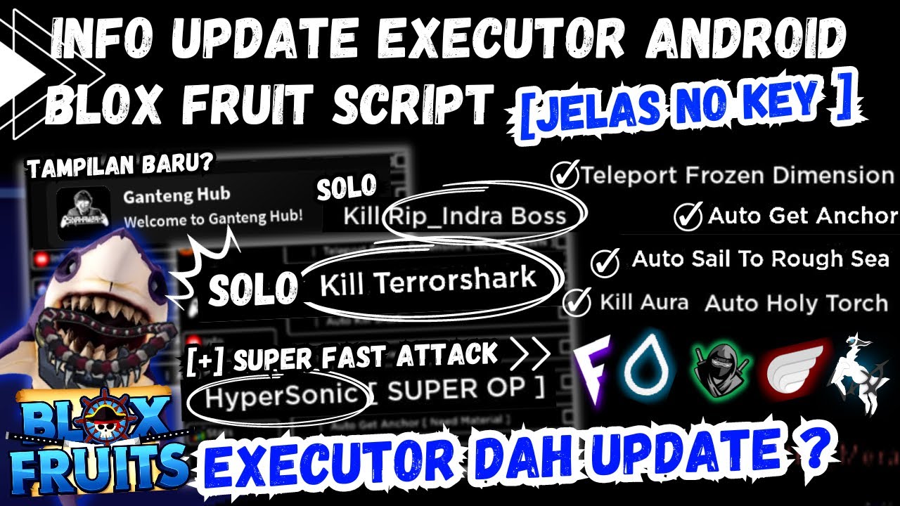 NEW UPDATE ] EXECUTOR ANDROID DELTA & SCRIPT BLOX FRUIT MOBILE NO