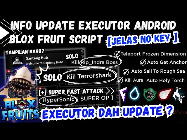 NEW UPDATE ] EXECUTOR ANDROID DELTA & FLUXUS, SCRIPT BLOX FRUIT NO KEY