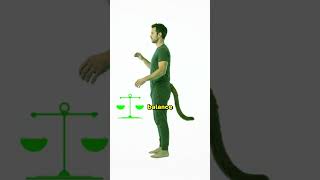 What If You Had A Tail