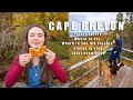 Colours  culinary  a fall guide to western cape breton