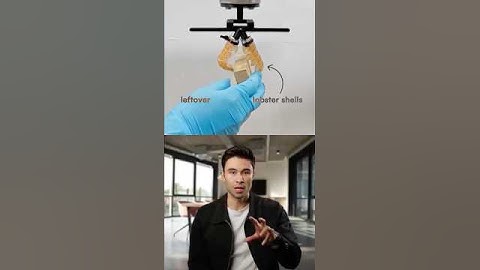 Robots made from lobster shells? 🦞👀 #trendingshorts #ai #robotics #research #science