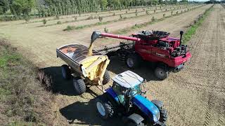 DJI 0419 Cos Soja 2526 3/4