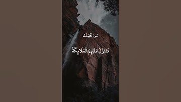 وَأَبْشِرُوا بِالْجَنَّةِ || سورة فصلت || ياسر الدوسري