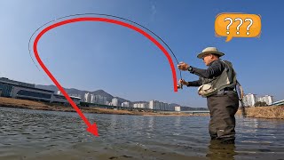 2023 잉어 플라이 낚시 시즌 개막 - 2023 Carp Fly Fishing Season Opens