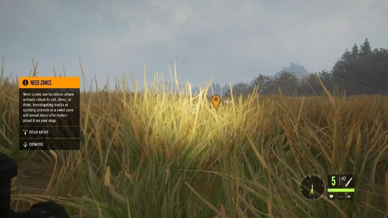 I hunted a big gold Whitetail in hunters call of the wild