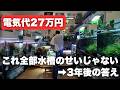 水槽のせいで電気代が上がってると言われ続けて3年。請求書を全部公開します【アクアリスト×蓄電池】