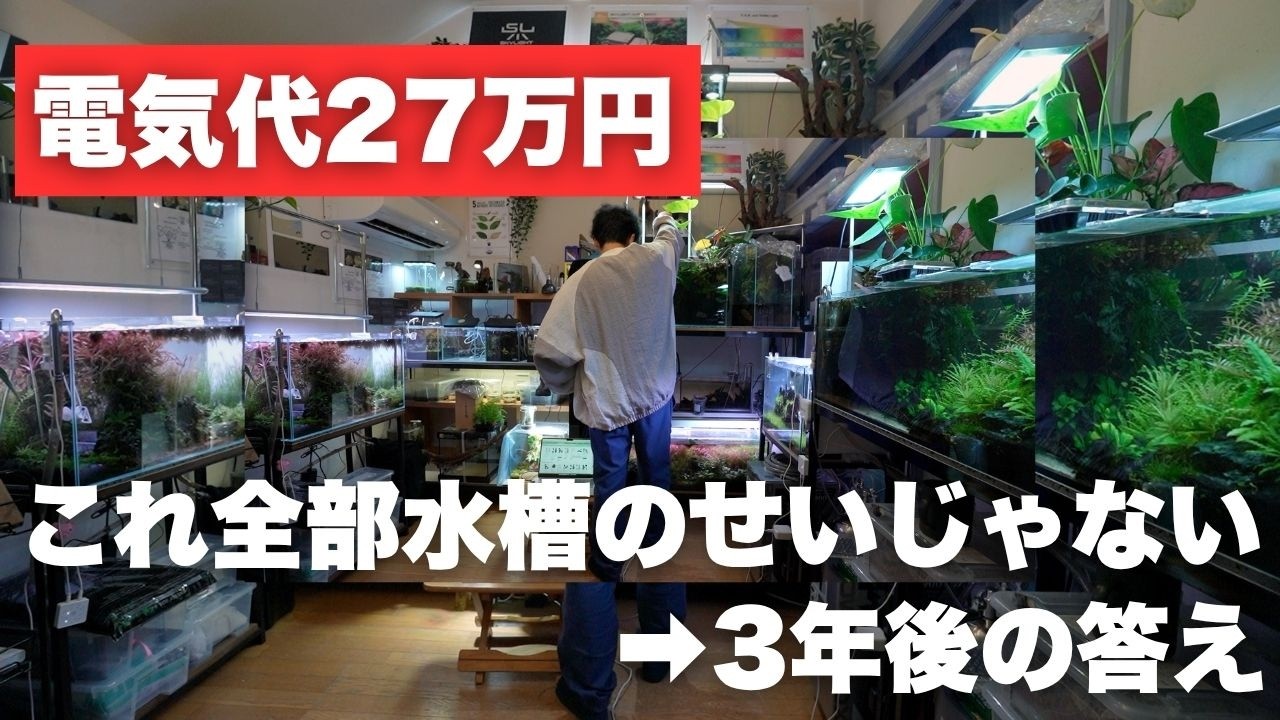 水槽のせいで電気代が上がってると言われ続けて3年。請求書を全部公開します【アクアリスト×蓄電池】