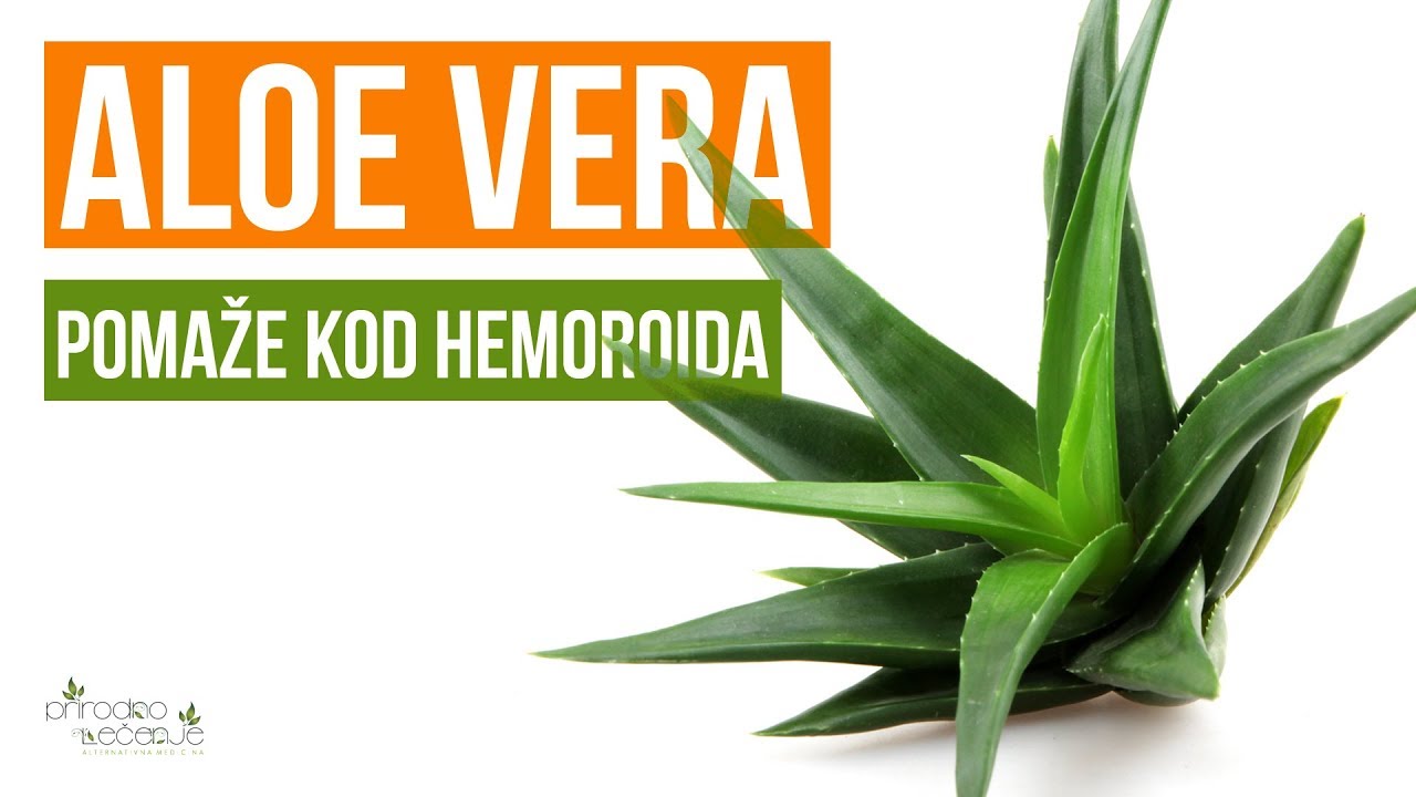asa agave ASA Selection SAISONS Henkelbecher agave 0,25 l Set6 – Tischideen & Ambiente main image 1